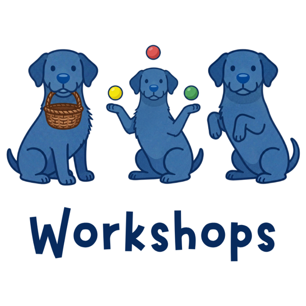 Workshops (click here)