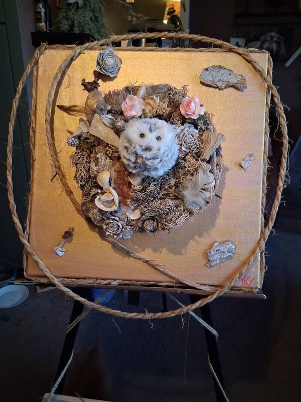 Oehoe 40×40. 50euro