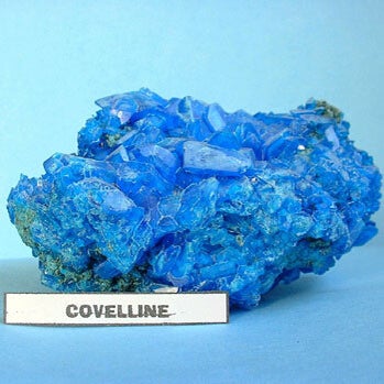 covelline-standard.jpg