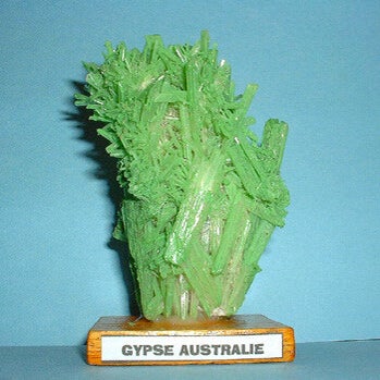 gypse-australie-standard.jpg