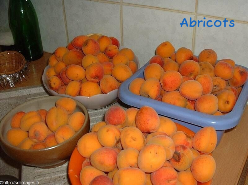 abricots