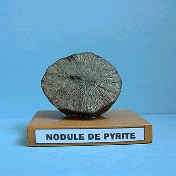nodule-pyrite-standard.jpg