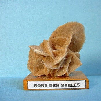 rose-des-sables-standard.jpg
