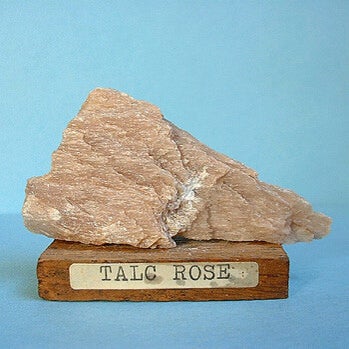 talc-rose-standard.jpg