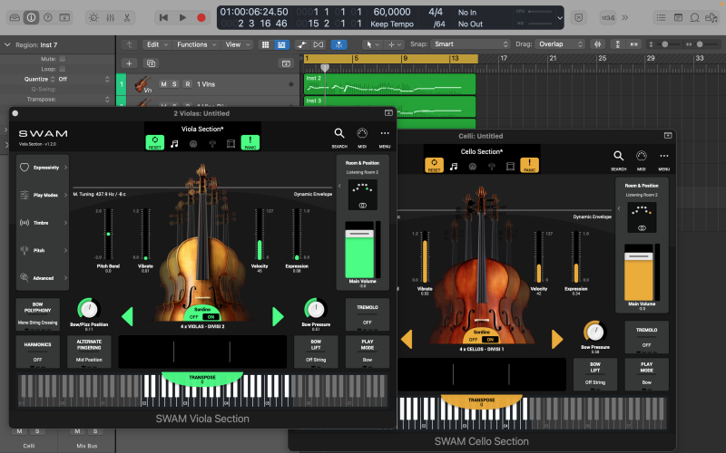 String section de audiomodeling SWAM