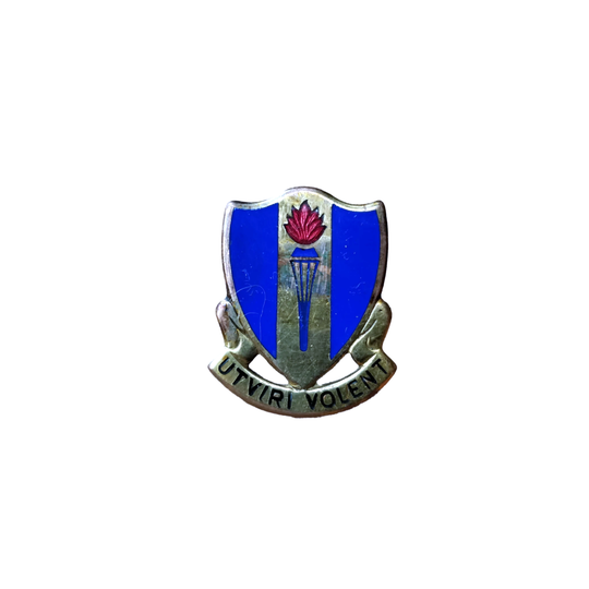 WWII US DUI Pin Army Air Corp Flight Training Pilot
