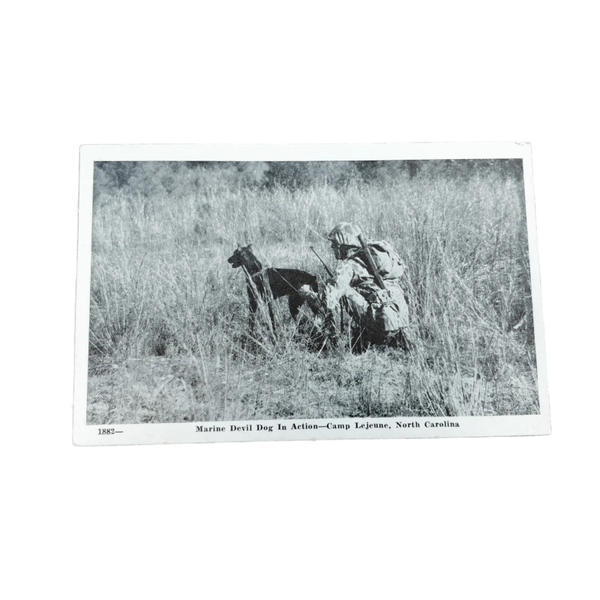 WWII US Postcard Camp Lejeune Devil Dog
