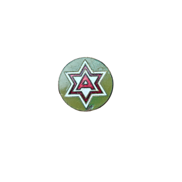 WWII US DUI Pin 6th Army