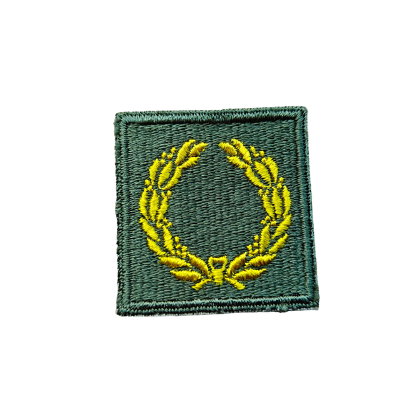 WWII US Meritorious Unit Citation Patch 1