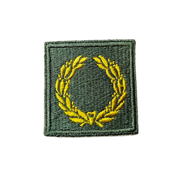 WWII US Meritorious Unit Citation Patch 1