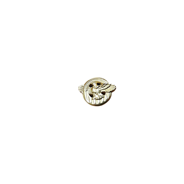 WWII US Ruptured Duck Pin Screwback