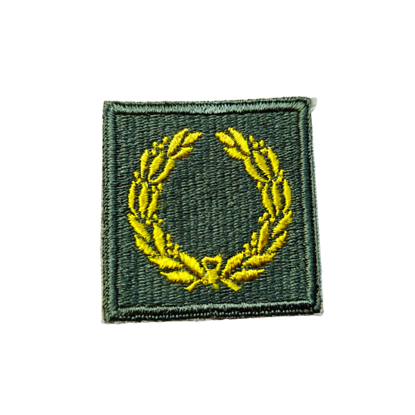 WWII US Meritorious Unit Citation Patch 1