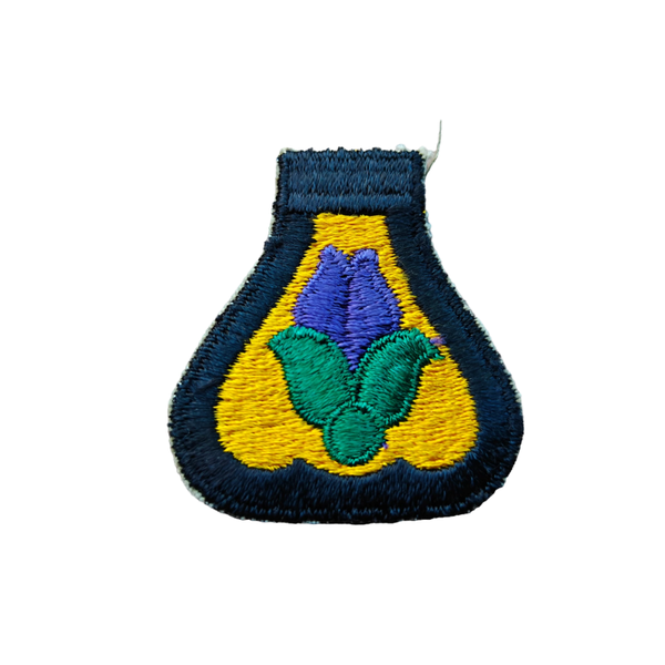 WWII US 21st Cavalry Regiment Patch