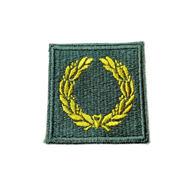WWII US Meritorious Unit Citation Patch