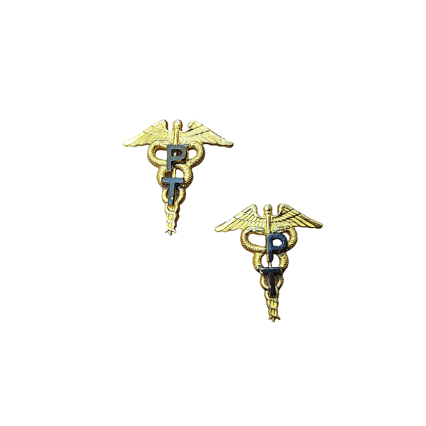 WWII US Collar Pin Set Physical Therapist