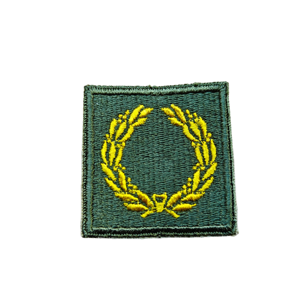 WWII US Meritorious Unit Citation Patch