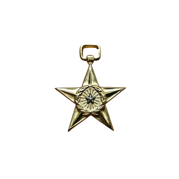 WWII US Silver Star Medal 1