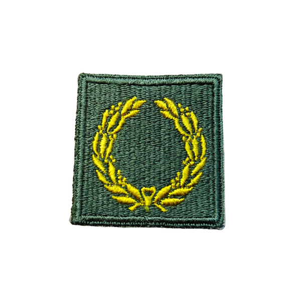 WWII US Meritorious Unit Citation Patch