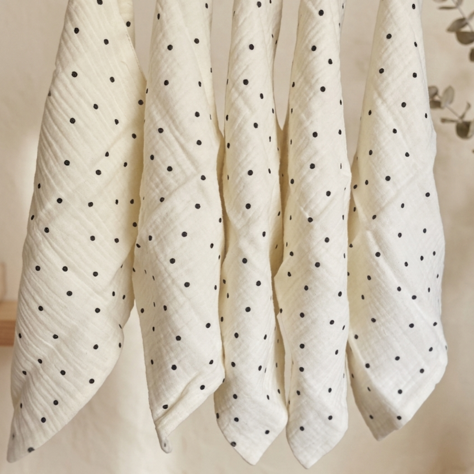 Dotty Collection