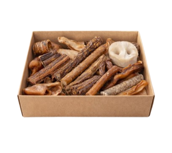 Mi Primera Box – Especial Cachorros