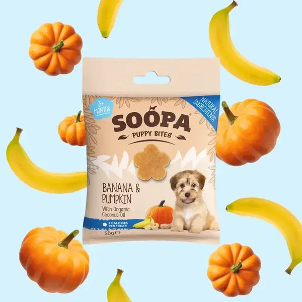 Galletas para cachorros de Plátano y Calabaza