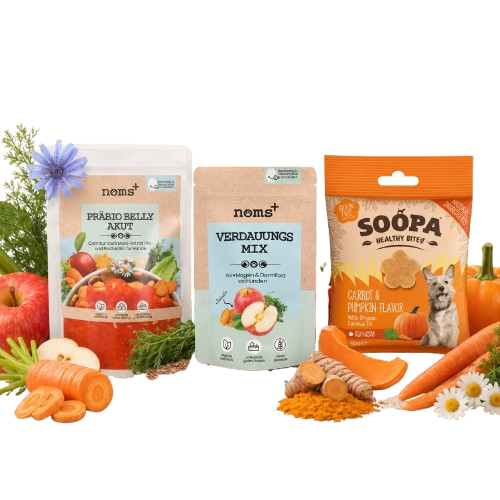 Fortalecer Estómago y Flora Intestinal