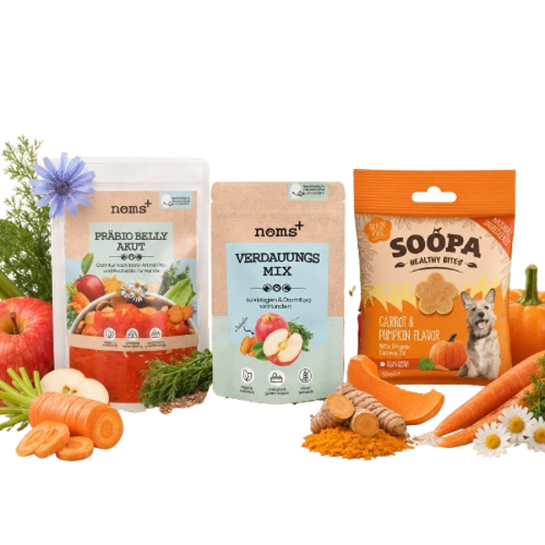 Fortalecer Estómago y Flora Intestinal