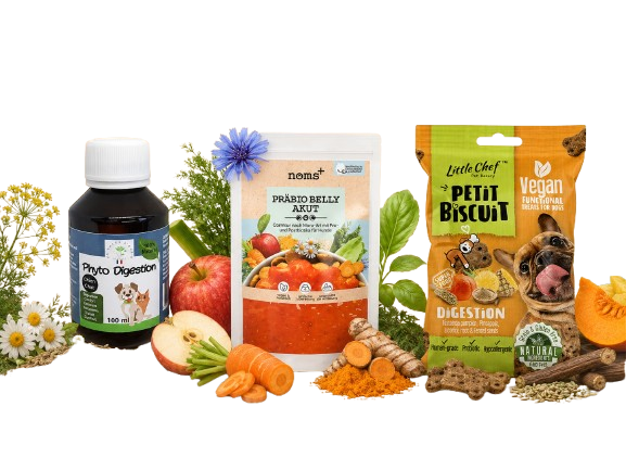 Digestión Difícil, Hinchazón o Malestar Intestinal