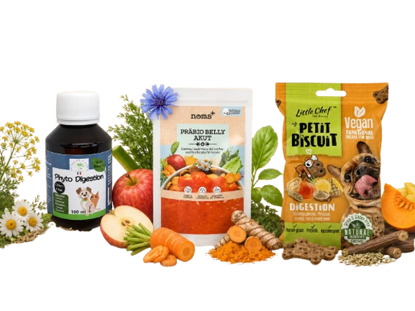 Digestión Difícil, Hinchazón o Malestar Intestinal
