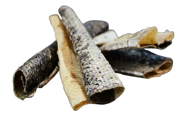 Pieles de Salmón