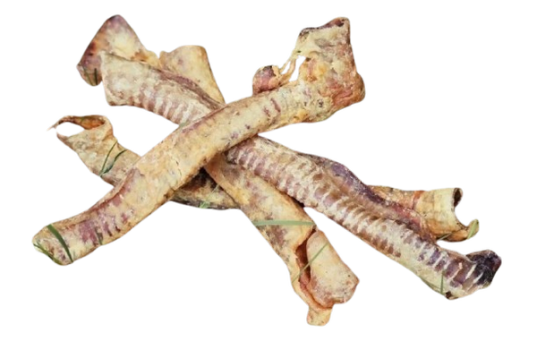 Tráqueas de Cordero