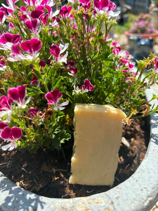 Lavendel Zeep
