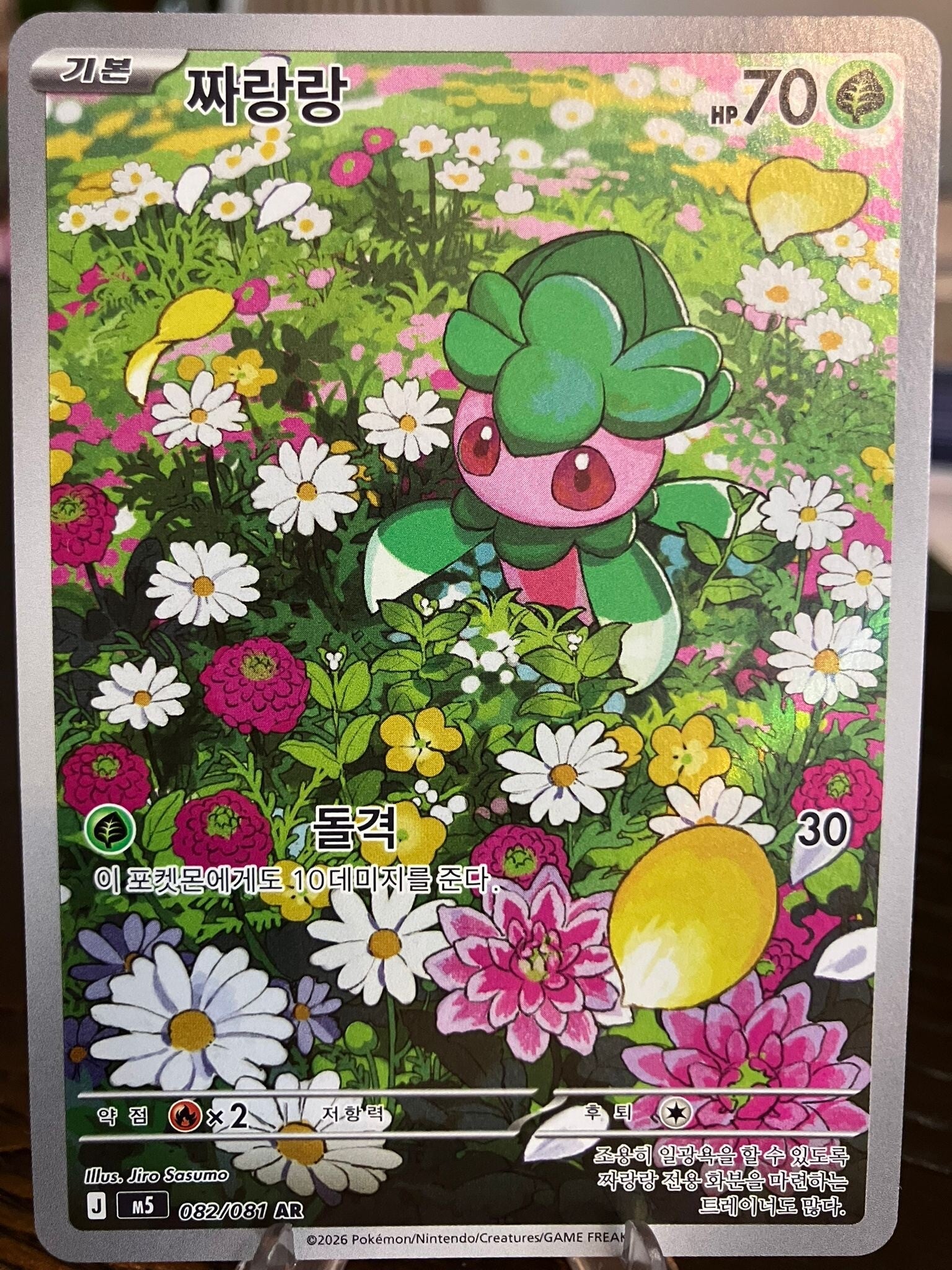 Fomantis (m5 082) - Koreaans