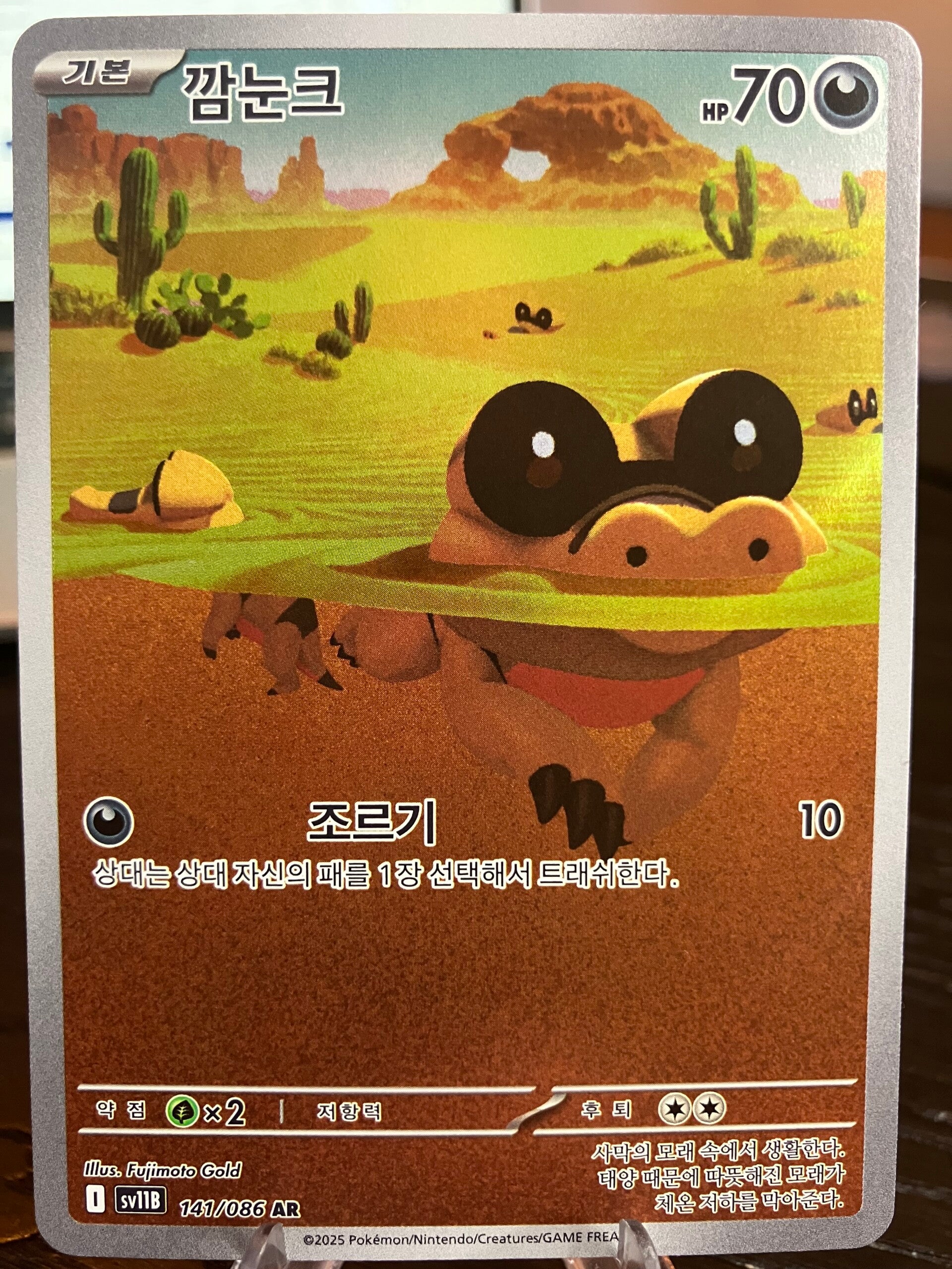 Sandile (sv11b 141) - Koreaans