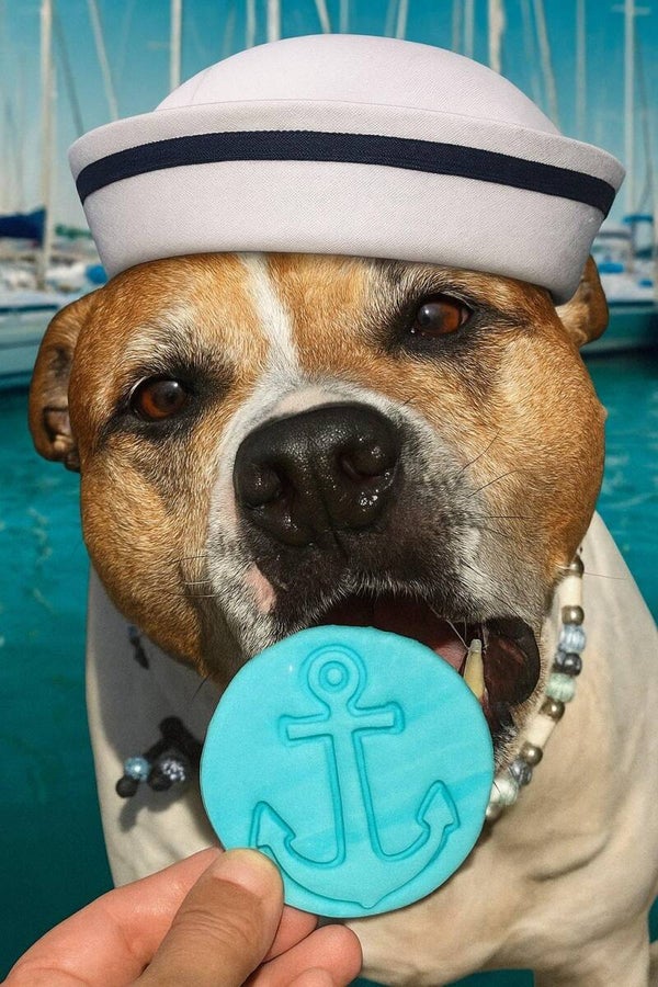 ⚓️⛵️🛟♥️