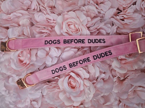 DOGS BEFORE DUDES velvet halsband 🩷