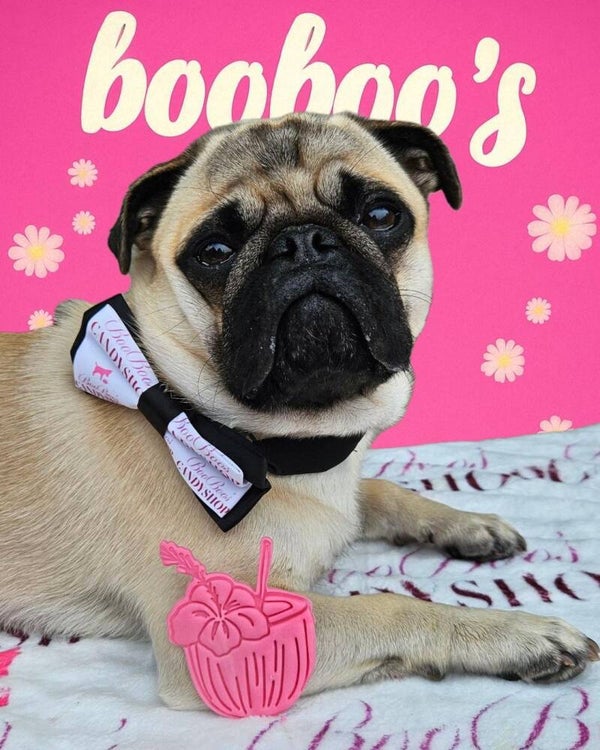 🎀