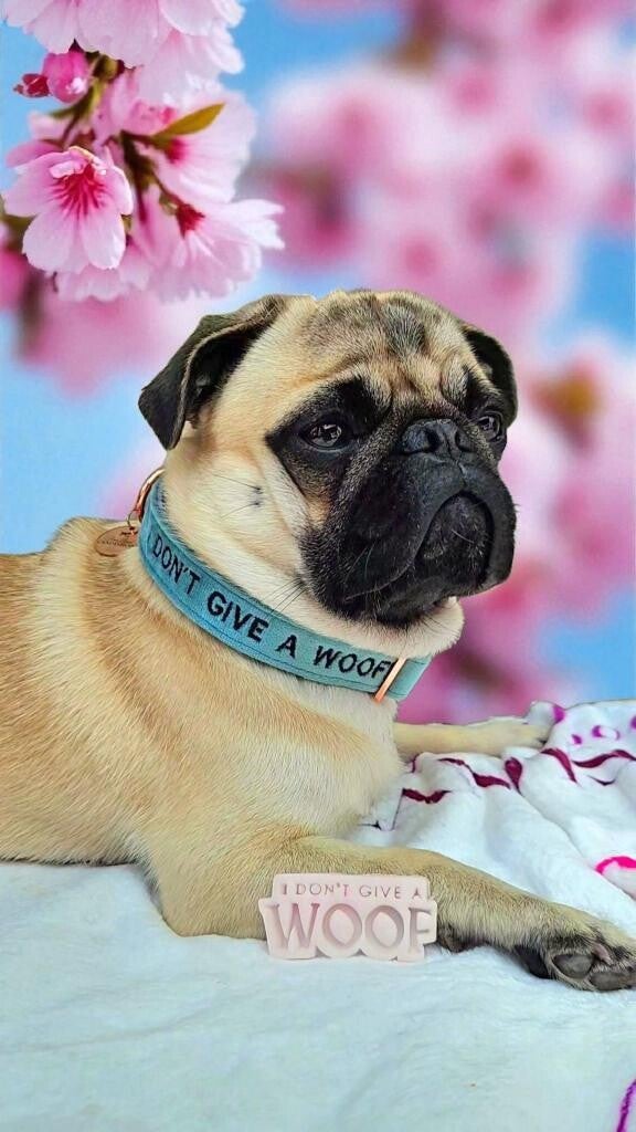 I don't really care!