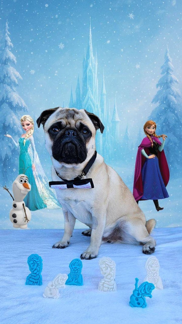 Let it go 🧚‍♀️