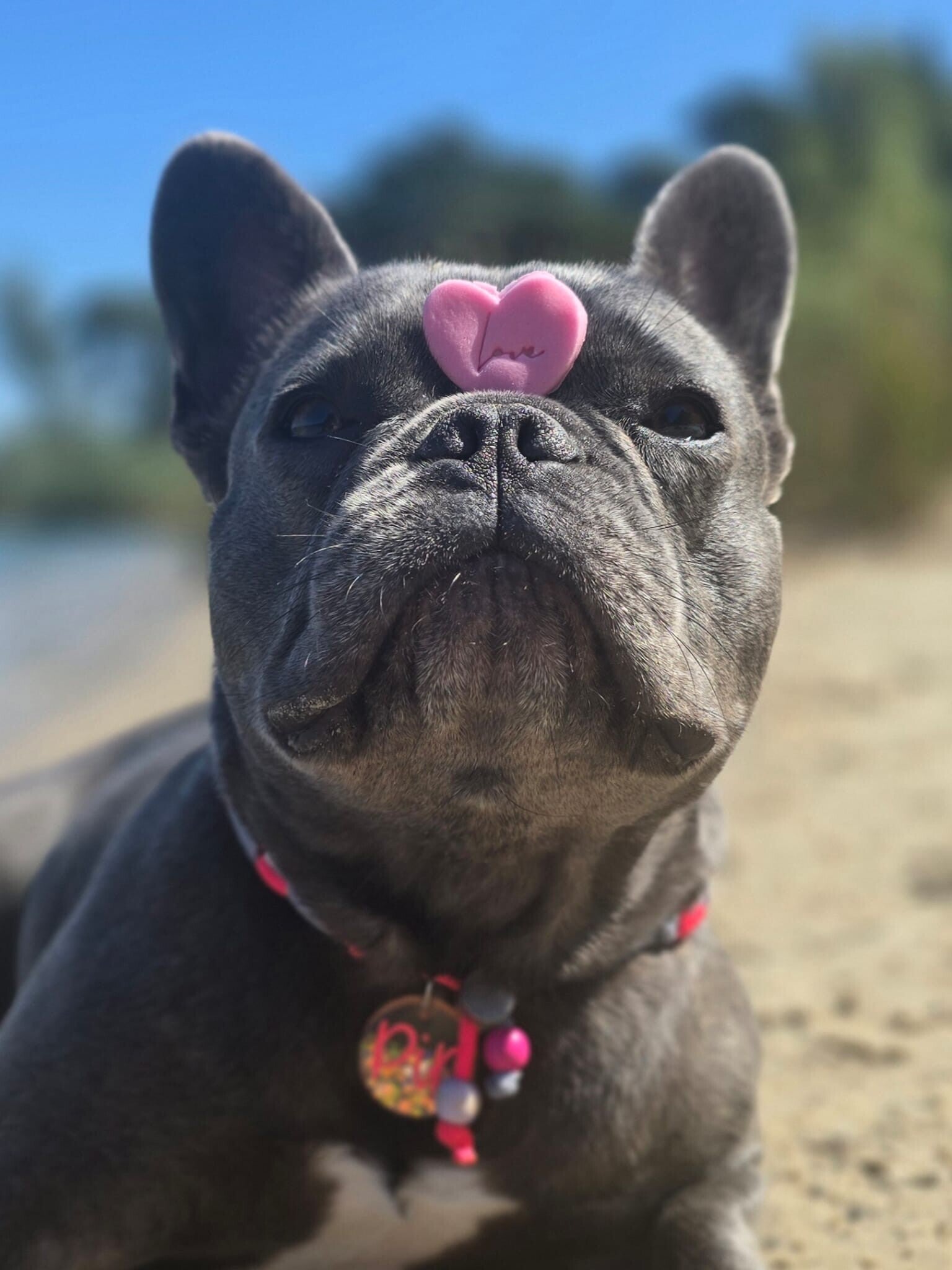 Lievelings trainers 🩷