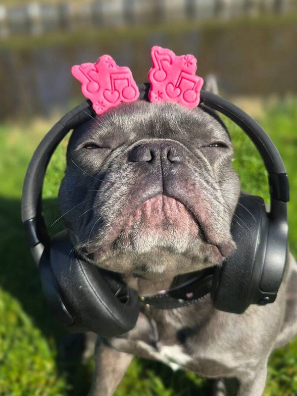 Rock and roll babby