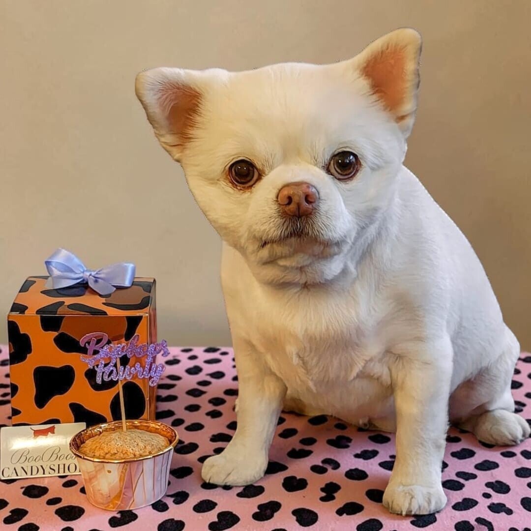 Cake in the cup 🧁