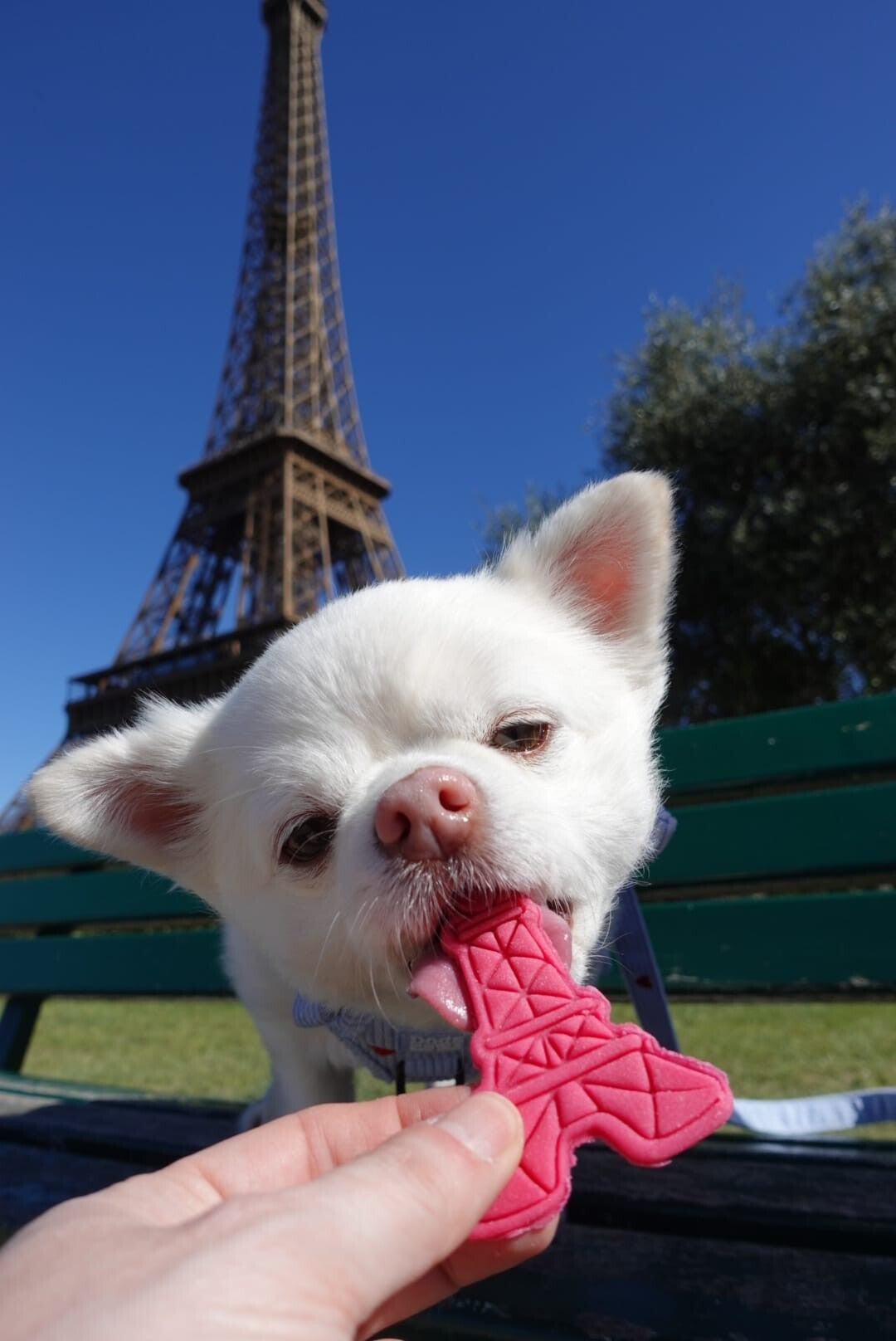 Speak french with me