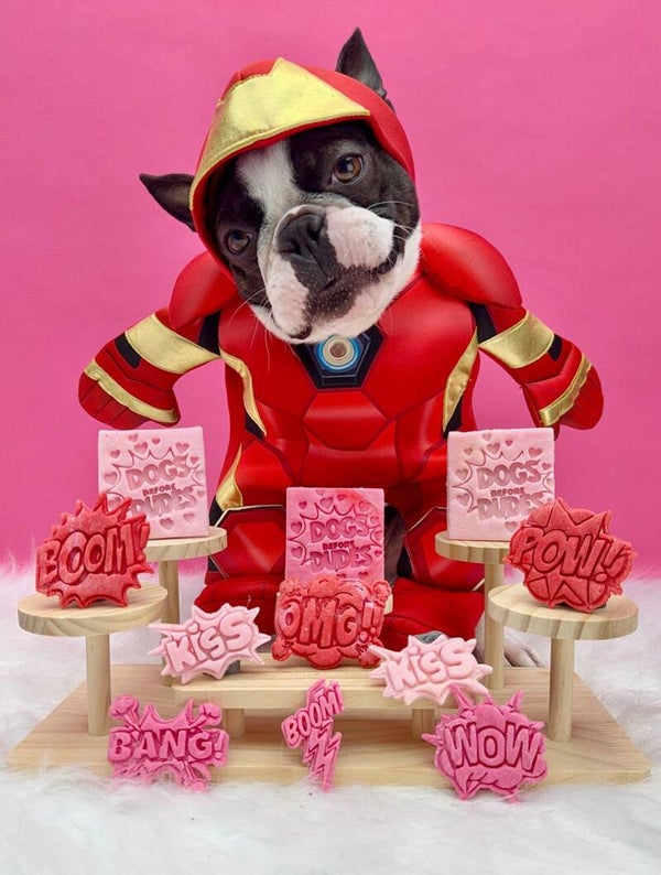 Dogs before dudes