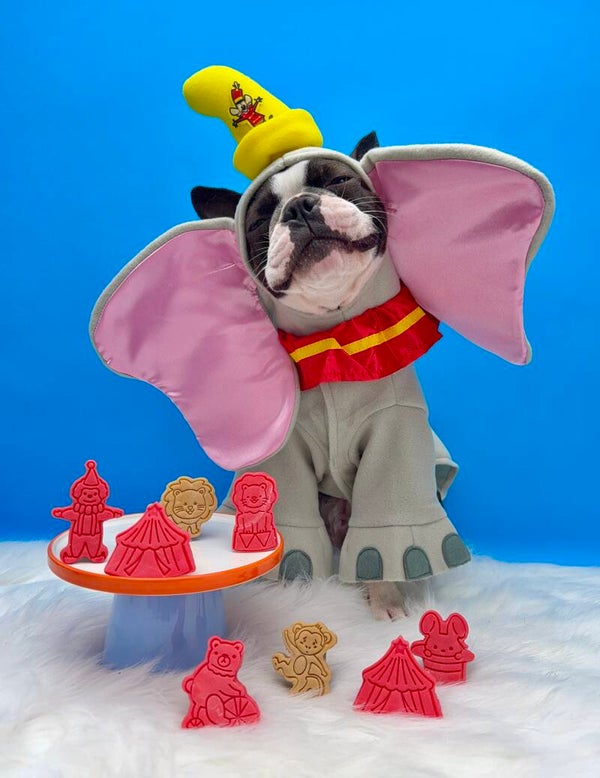 My circus, my monkeys