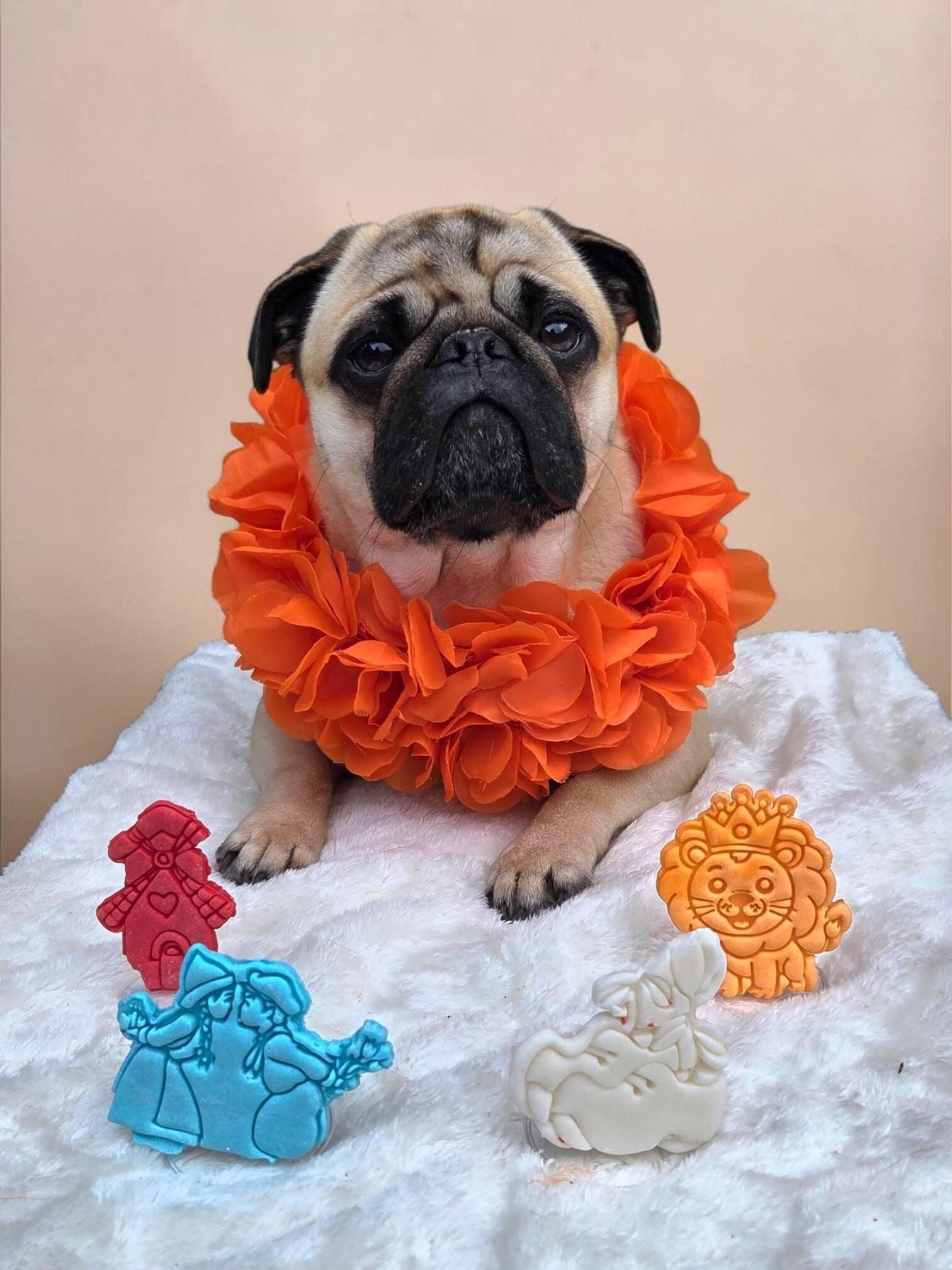 Ik hou van holland 🧡