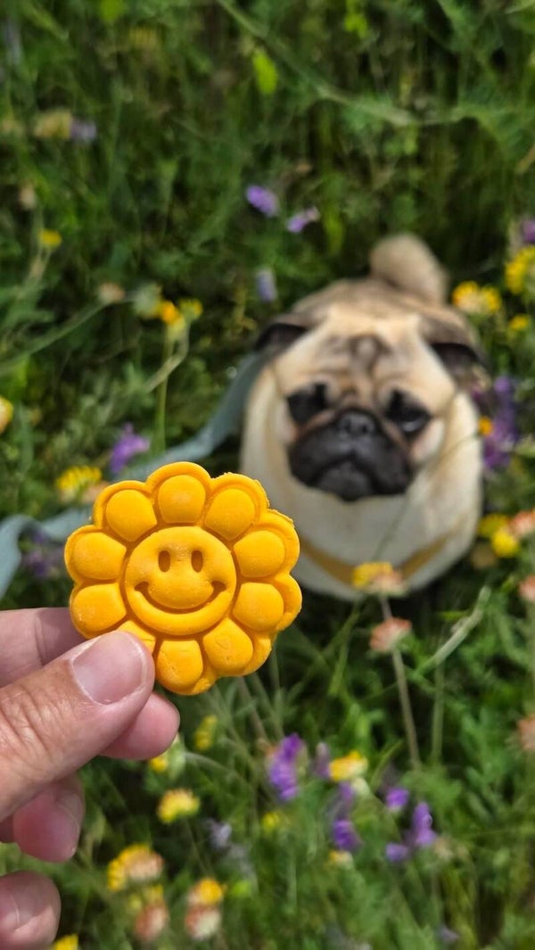 Flouwer pouwer 🌸