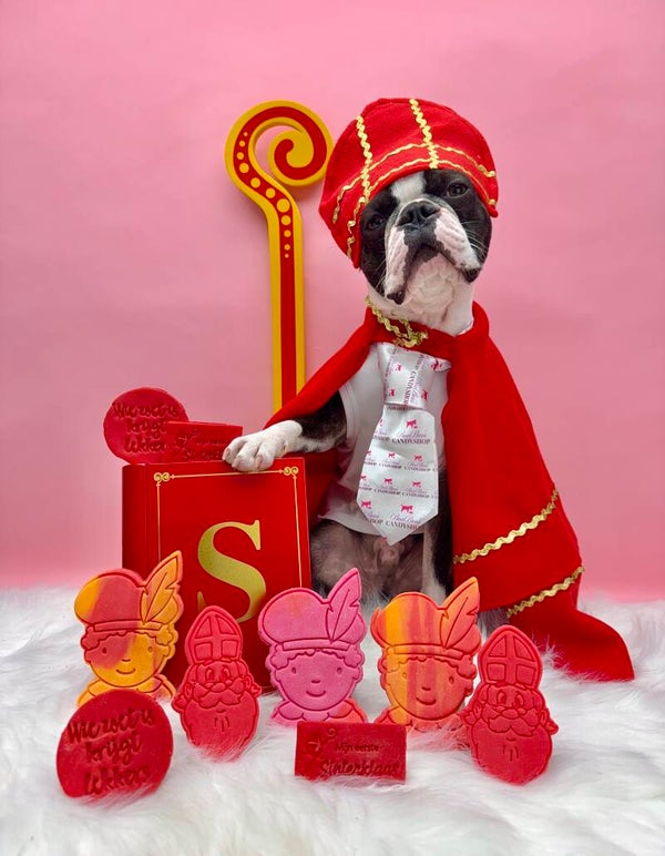 Sint en piet