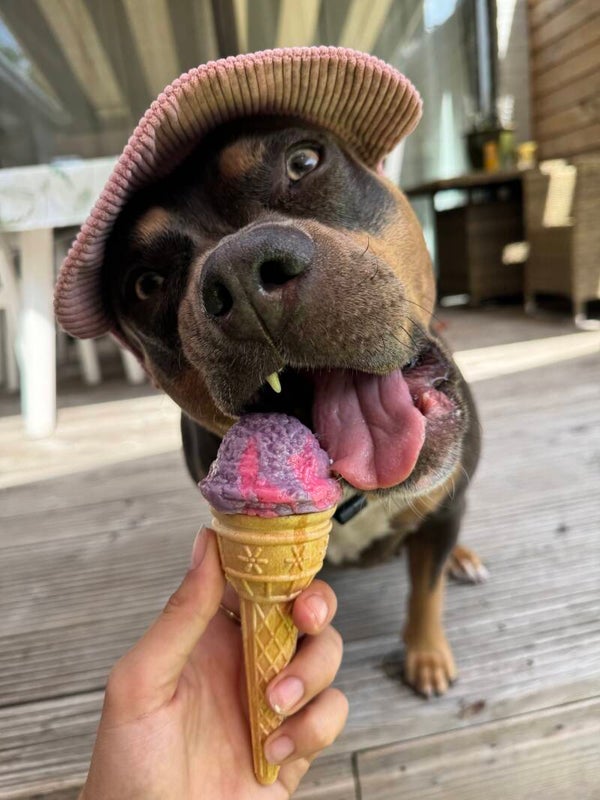 Ijsco cookie 🍦