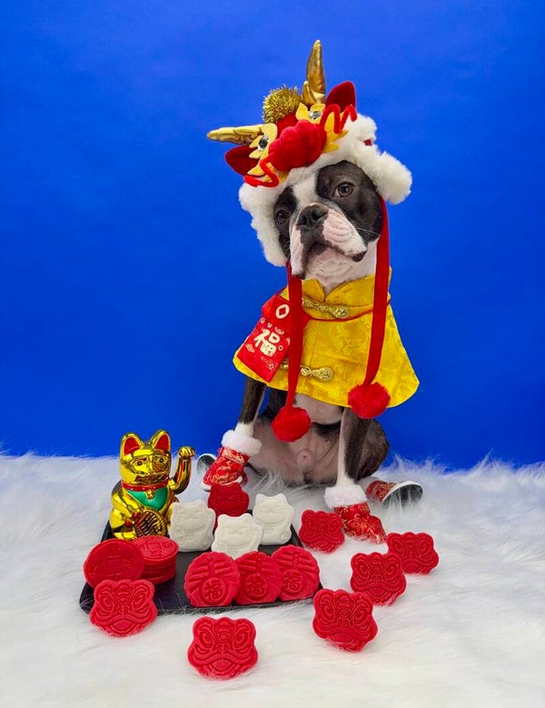 xin nian kuai le 🪭